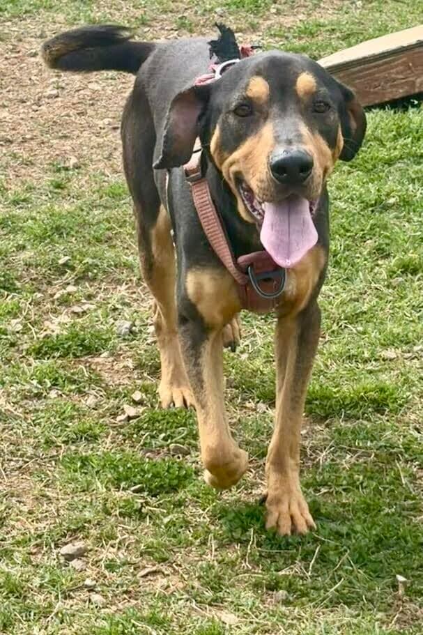 Charlie Available - Unknown