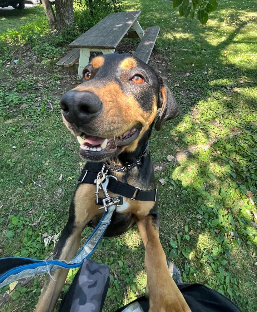 Charlie Available - Unknown