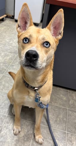 Aspen At The Shelter image 1