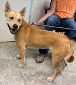 Aspen At The Shelter image 2