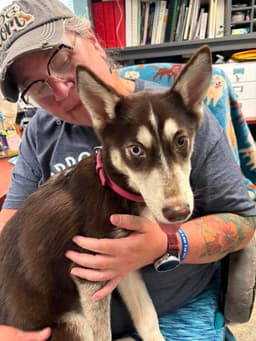 Coco Not At Shelter Av image 2