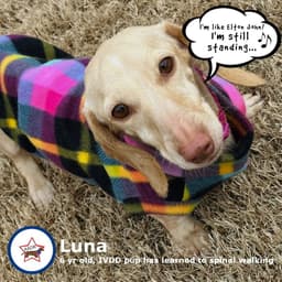 Luna In Ky image 4