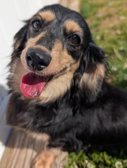 Skylar In Tn image 1