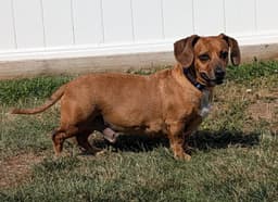 Henry In Tn image 2