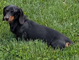 Malorie In Fl image 3