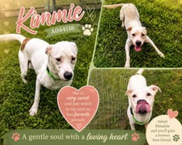 Kimmie image 1