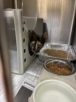 Unknown image 1