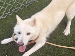 Yuki image 1