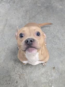 Da  Doing Her Best image 2