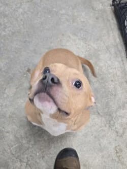 Da  Doing Her Best image 3