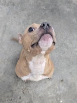 Da  Doing Her Best image 4