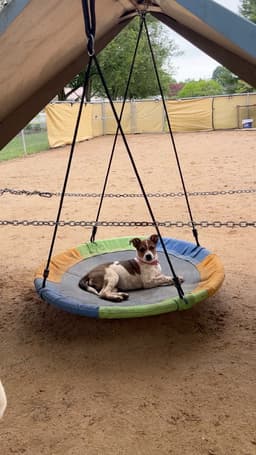 Carmie image 3