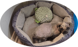 Spike image 2
