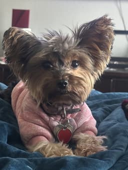 Ellie Mae image 2