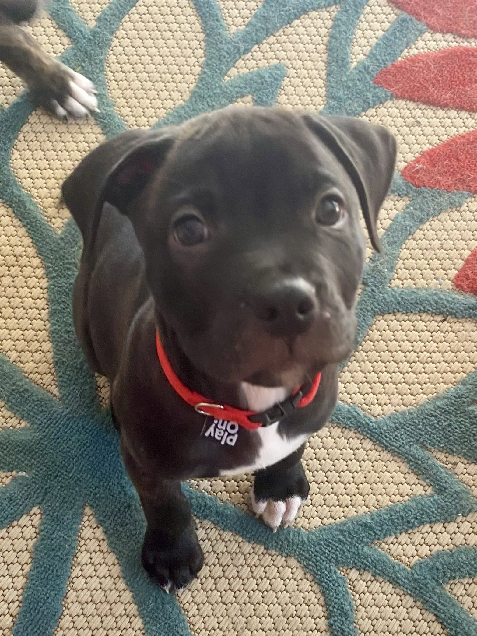 Duncan - Slam-Duncan Your Heart