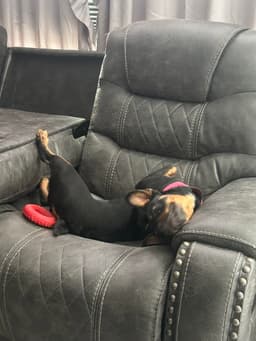 Missy image 3