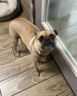 Gus image 2