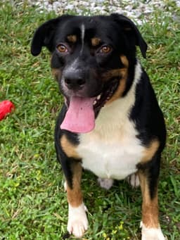 Luke Fl image 1