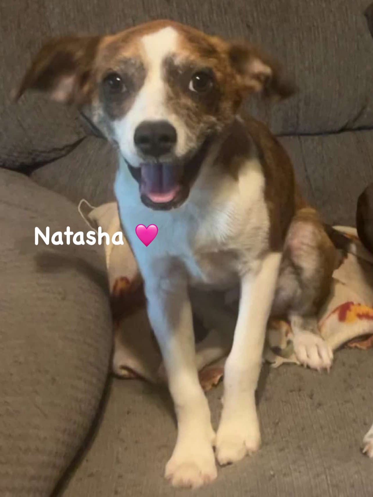 Natasha - Unknown
