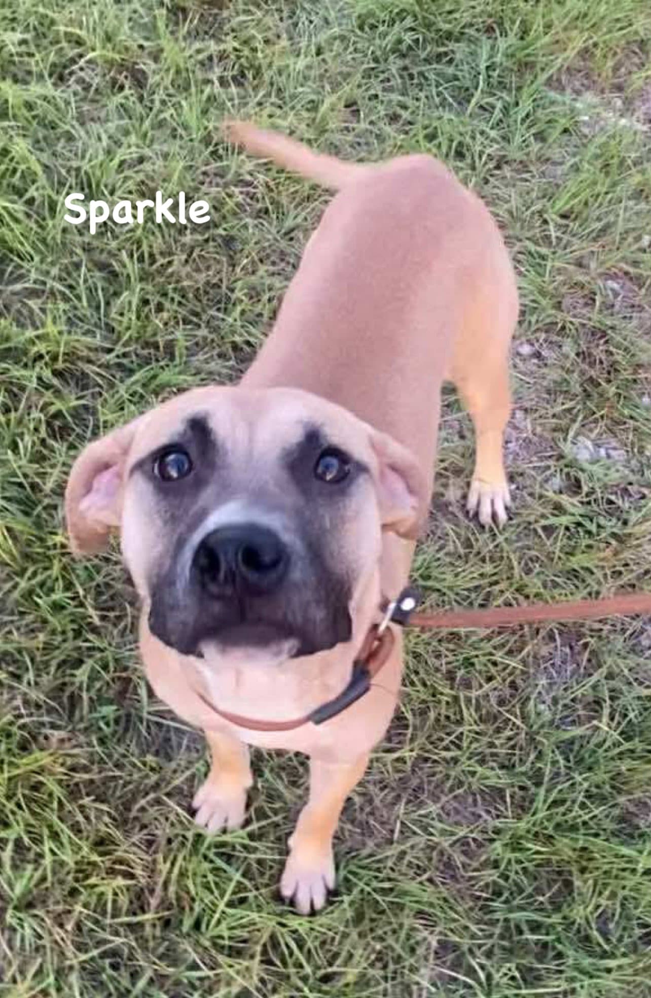 Sparkle - Unknown