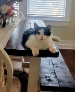 Millie image 2