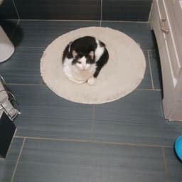 Millie image 3