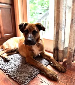 Jethro image 4