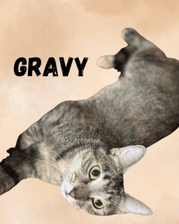 Gravy image 2