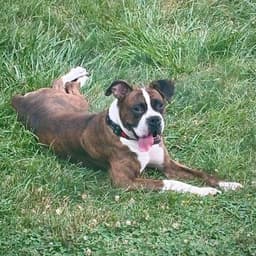 Becca image 1