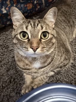 Lucy image 3