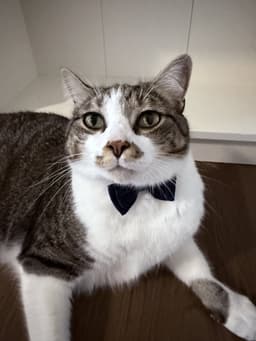 Max image 1