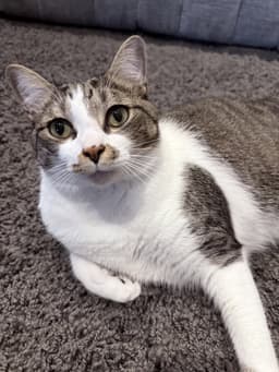 Max image 2