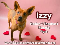 Izzy image 1