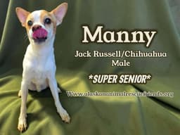 Manny image 1