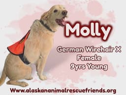 Molly image 1