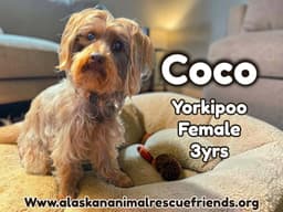 Coco image 1