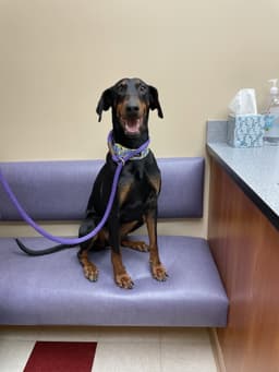 Anna image 4
