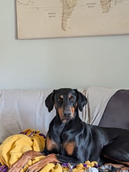 Deedee image 3