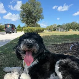 Sammie image 2