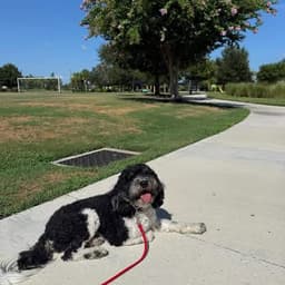 Sammie image 3