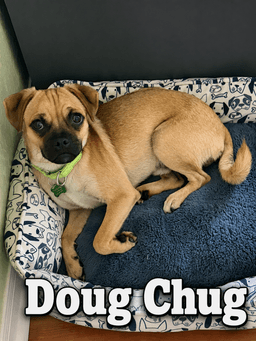 Doug Chug image 2