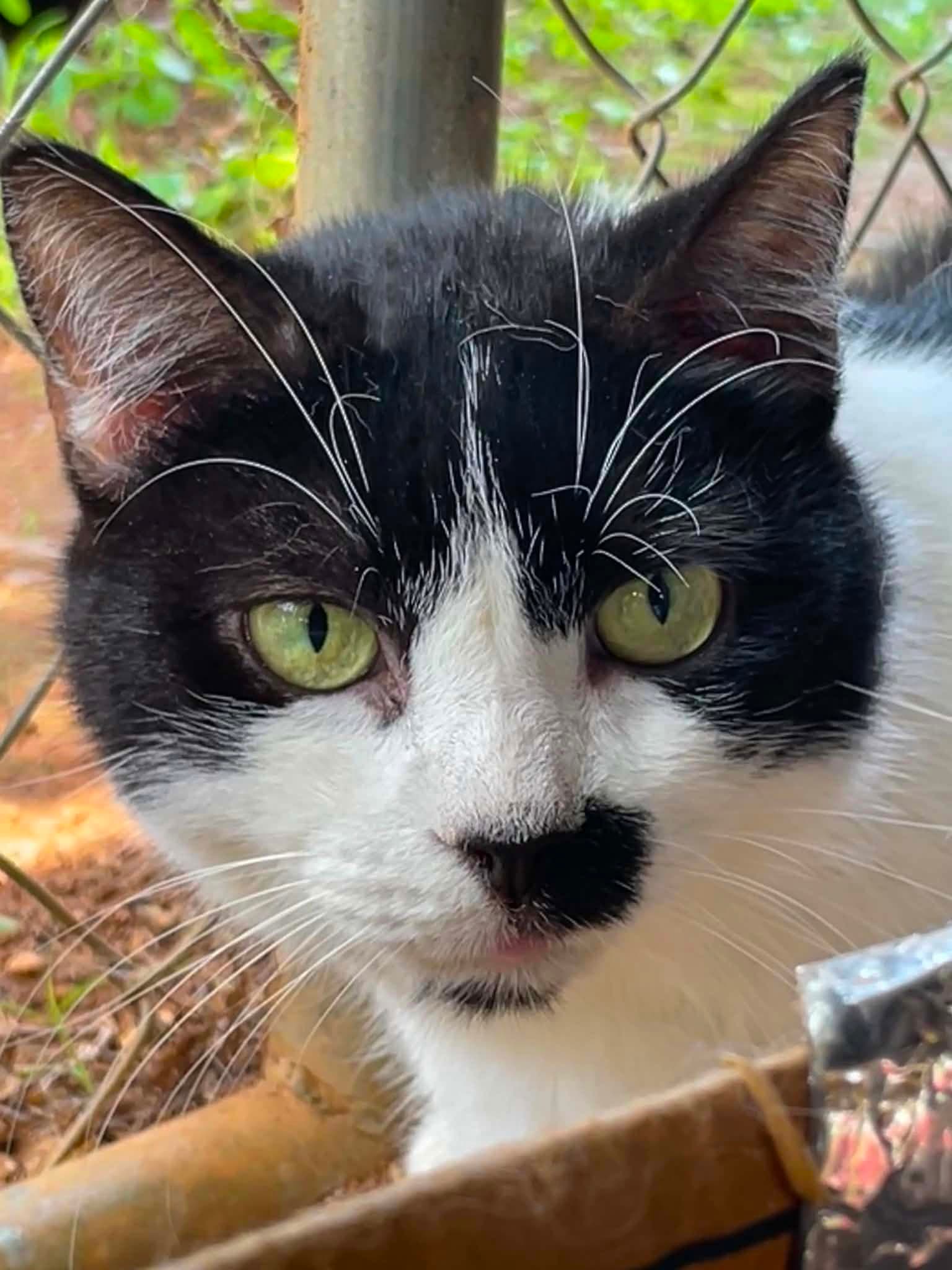 Maggie