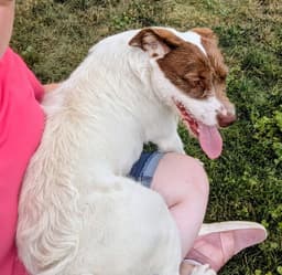 Georgie image 3