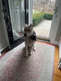 Max image 1