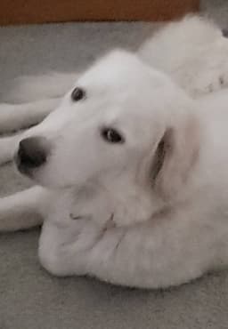 Kiera image 1