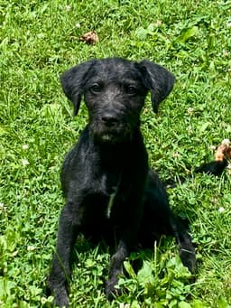 Millie Ann image 1