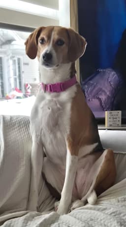 Zoe image 1