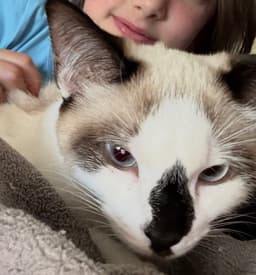 Bridgetmust Be Adopted With Baylan image 4