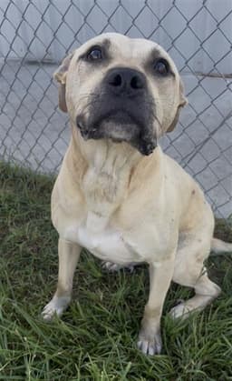 Billy image 1