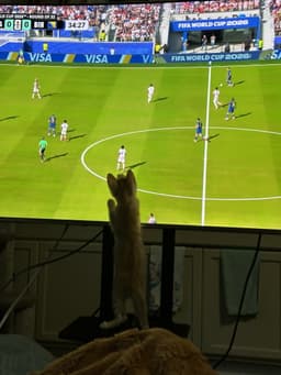 Ronaldo image 4